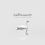 Telegram profile photo for قلبٌ سـليم.