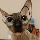 Telegram profile photo for розовый муравей в белый горошек
