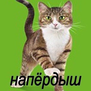Telegram group profile photo for напёрдыши