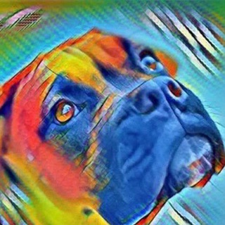 Telegram profile photo for Украина 🇺🇦 Животные❤ Помощь Собакам 🐕 Немецкий Боксер и не только💜