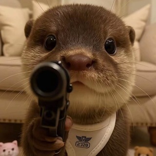 Telegram profile photo for 杜基之家聊天群