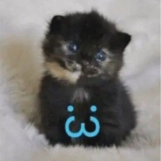 Telegram profile photo for твани