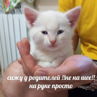 Telegram profile photo for КРУГОВОЙ