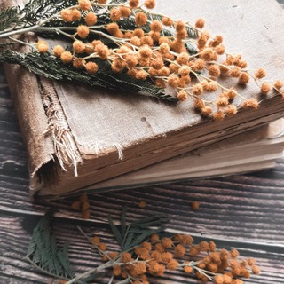 Telegram profile photo for Сказки Лисы