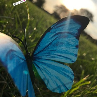 Telegram profile photo for قلب أزرق 💙