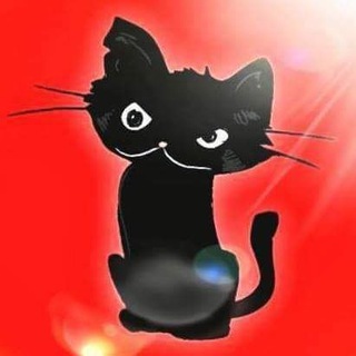 Telegram profile photo for HERR ZIMMERMAN