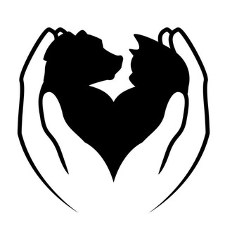Telegram profile photo for Реальная помощь животным ЦБЖ РнД! 🐶🐱