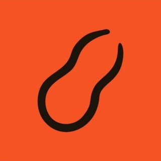 Telegram group profile photo for Peanut花生中文社区