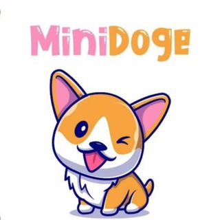 Telegram profile photo for MiniDoge CTO|Solana