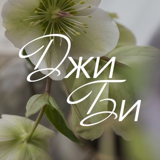 Telegram profile photo for Цветы Нижнекамск | Шары | Доставка цветов в Нижнекамске| ДЖИБИ