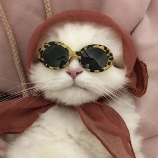 Telegram profile photo for -بنت ذاك اليــافعي.
