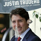 Telegram profile photo for Living The Dream