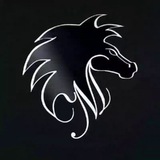 Telegram profile photo for Hossein Mu3tang