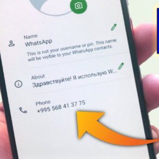 Telegram profile photo for TEMP NUMBER