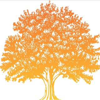 Telegram profile photo for TreeInvest