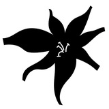 Telegram profile photo for noma florals 💐