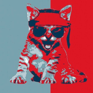 Telegram profile photo for Roaring Kitty CTO Portal
