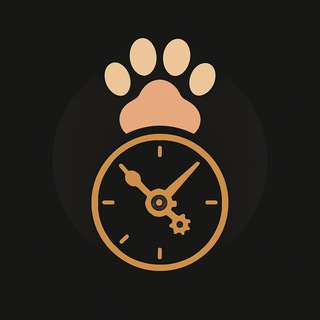 Telegram profile photo for meticulously