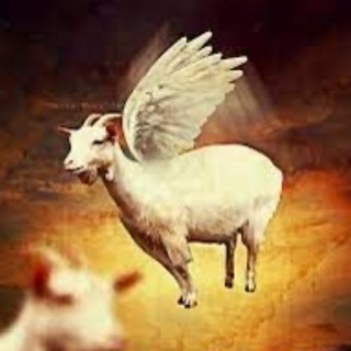 Telegram profile photo for життя козюл¡⋆ ✝️🪦