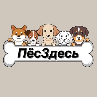 Telegram profile photo for Студия Груминга "ПёсЗдесь"