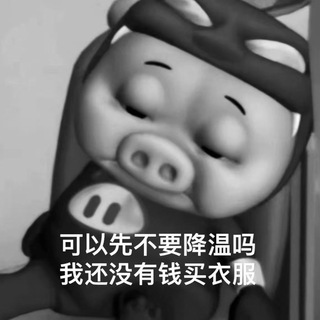 Telegram group profile photo for 低价飞机号 电报号 靓号 各国飞机号