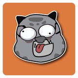 Telegram profile photo for Kungfu Cat