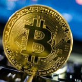 Telegram profile photo for Airdrop - Bounty Predators