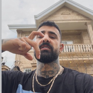Telegram profile photo for Sajad Shahi