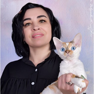 Telegram group profile photo for девон-рекс Либэ-тиер