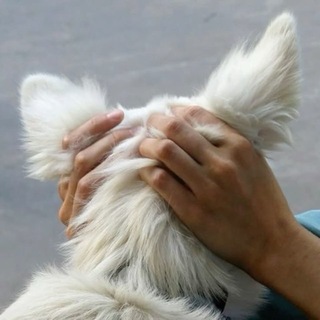 Telegram profile photo for эротично