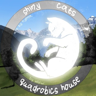 Telegram profile photo for ༄.°Квадробика/хаус — 🎠«𝗦𝗵𝗶𝗻𝘆 𝗖𝗮𝘁𝘀»✨