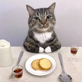 Telegram profile photo for Отзывы Second Cheapp