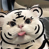 Telegram profile photo for Gienka