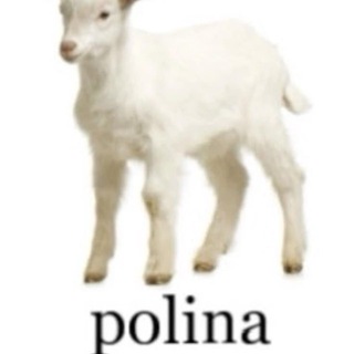 Telegram profile photo for НАЛИЧИЕ КАМНЕВЕДОВА