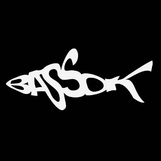 Telegram profile photo for BASSOK