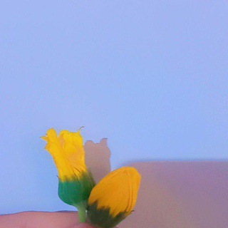 Telegram profile photo for قناه ثاني متوسط الجميع المواد 💗🌷