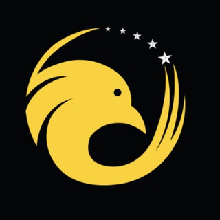 Telegram profile photo for FX Army