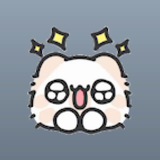 Telegram profile photo for Приводы в @cxembl_za_stars✨