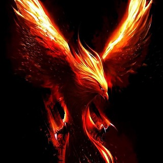 Telegram profile photo for Интерьер Phoenix