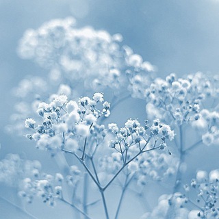 Telegram profile photo for BLUE AES FLOOD | All TYPOLOGIES