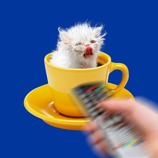 Telegram profile photo for Я налью чай, включай