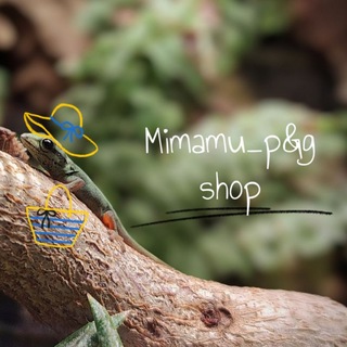 Telegram profile photo for Mimamu_p&g shop 🌱