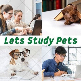 Telegram profile photo for Let's Study Pets Channel 💪