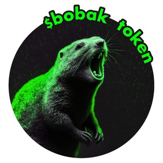 Telegram profile photo for $BOBAK on Solana