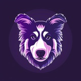 Telegram profile photo for Jax Entry