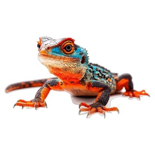 Telegram group profile photo for Трейлы 12 месяцев: Чат