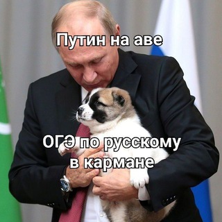 Telegram profile photo for Ответы из Vip Огэ
