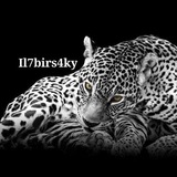 Telegram profile photo for «ILBIRSKY»ЗАКРЫТЫ.