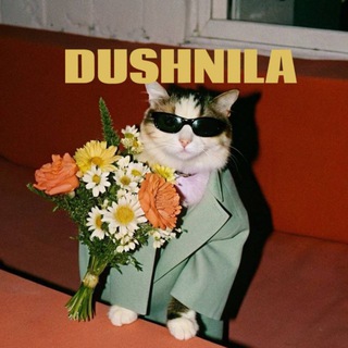 Telegram profile photo for Душнила