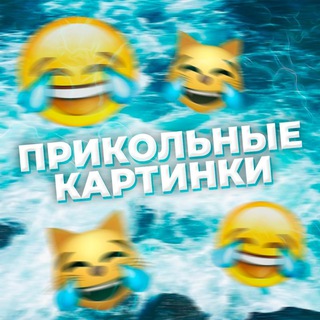 Telegram profile photo for Прикольные картинки/видео